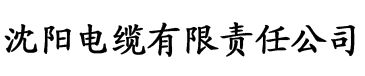 久久精品人妻一区二区三区电缆厂logo